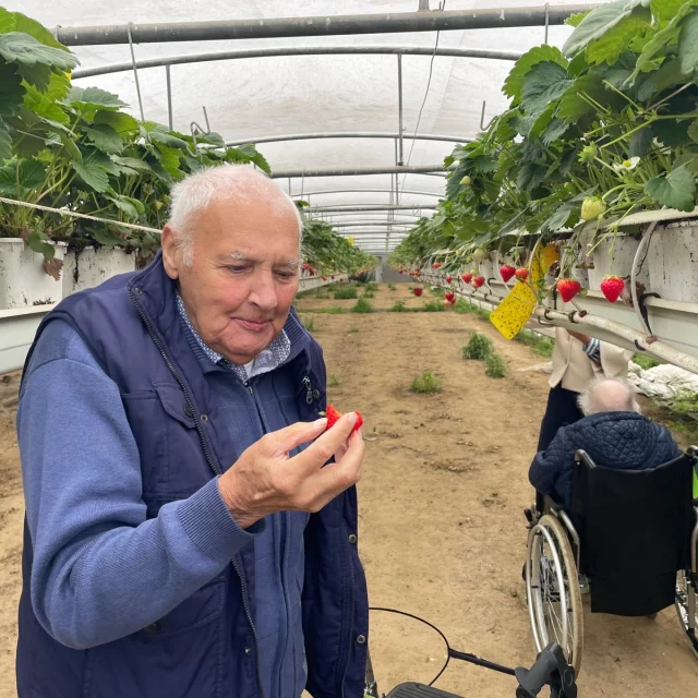 Lekkere aardbeien en kersen te proeven tijdens de uitstap naar Hoeve Mahieu 🍓🍒